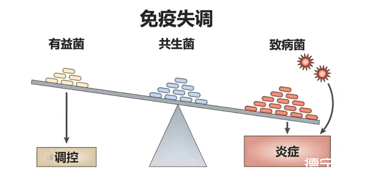 微信图片_20250424134956