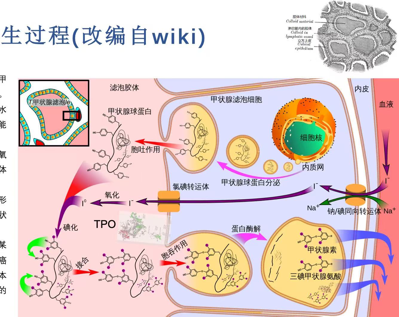微信图片_20250711145707