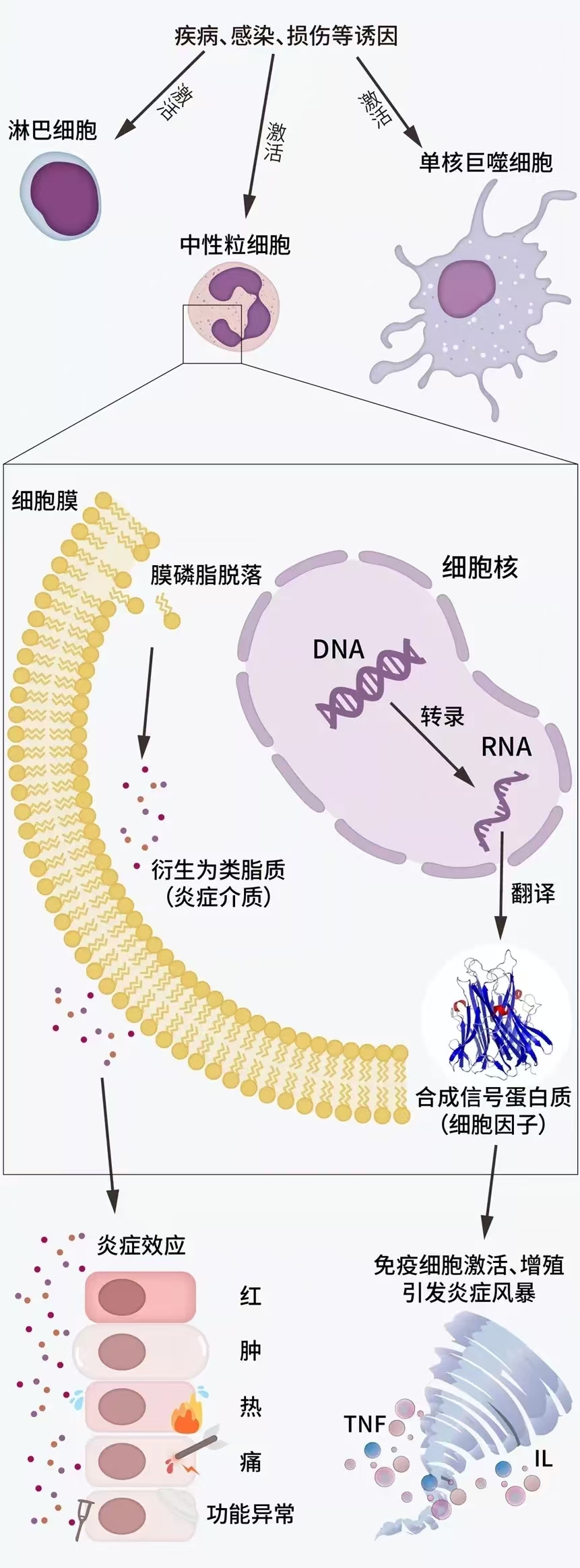微信图片_20250609130922.jpg